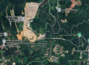 ara grove batang kali