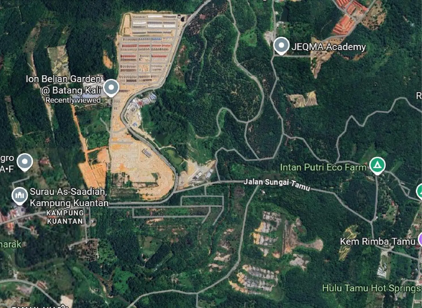 ara grove batang kali